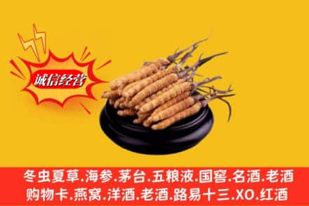 澄迈县求购回收虫草多少钱每克